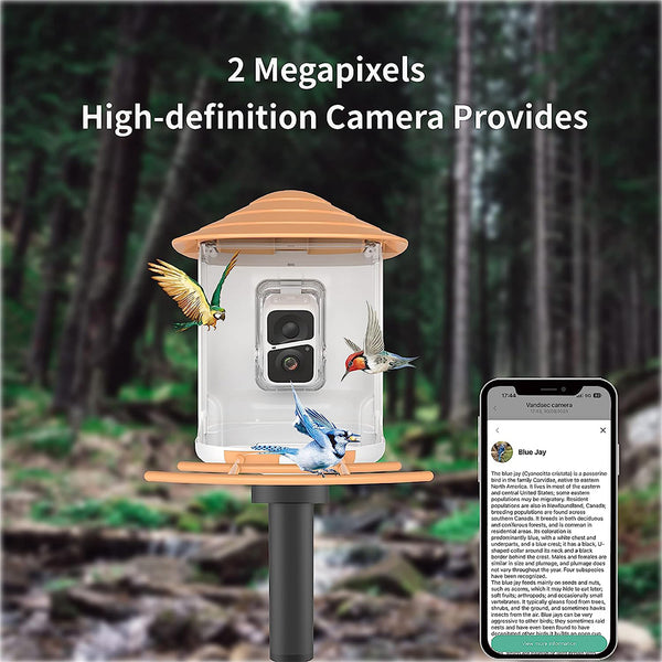 Bird feeder with camera and AI bird recognition for the garden