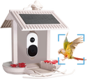 Bird feeder with camera and AI bird recognition for the garden - With built-in solar cell