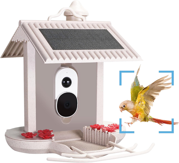Bird feeder with camera and AI bird recognition for the garden - With built-in solar cell