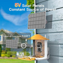 Bird feeder with camera and AI bird recognition for the garden