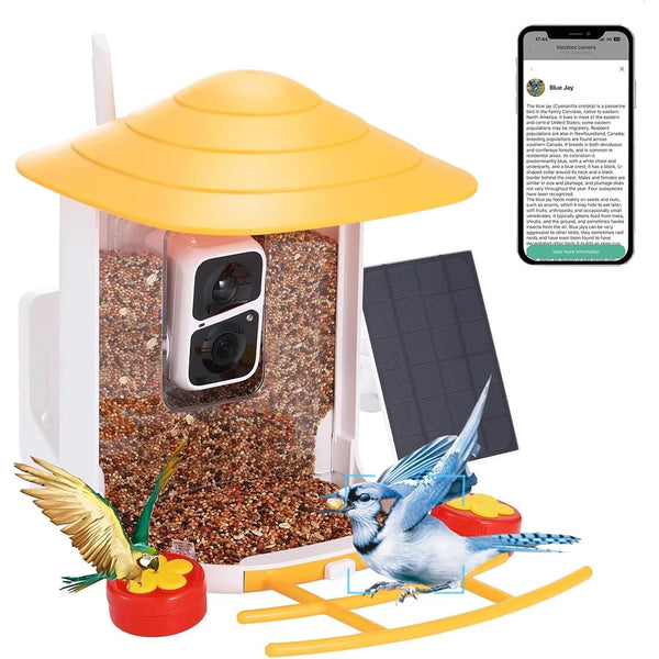 Bird feeder with camera and AI bird recognition for the garden