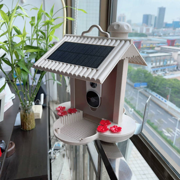 Bird feeder with camera and AI bird recognition for the garden - With built-in solar cell
