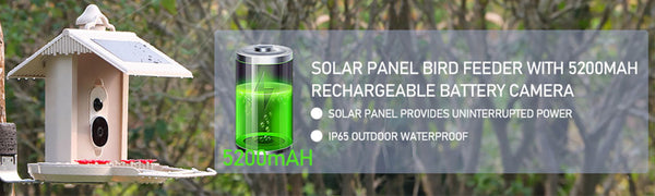 Bird feeder with camera and AI bird recognition for the garden - With built-in solar cell