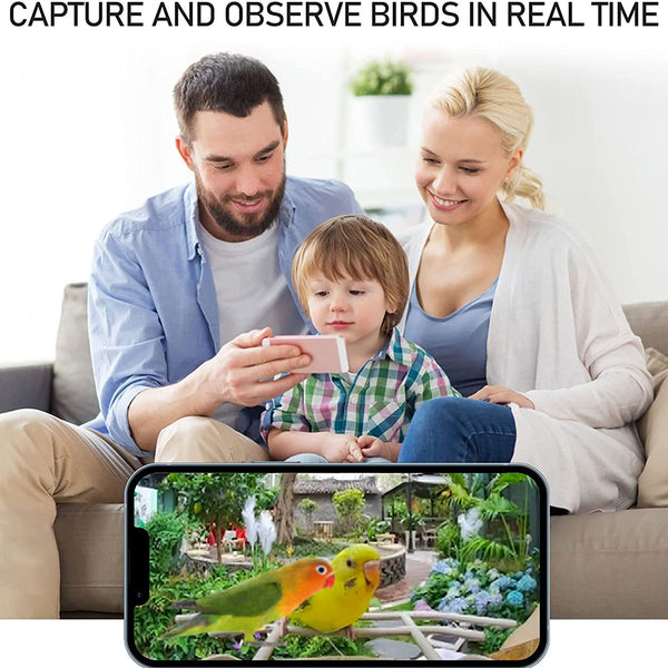 Bird feeder with camera and AI bird recognition for the garden - With built-in solar cell