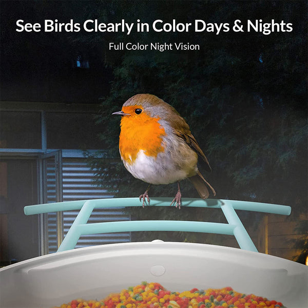 Bird feeder with camera and AI bird recognition for the garden