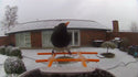 Bird feeder with camera and AI bird recognition for the garden - With built-in solar cell
