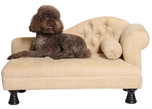 Divano per cani con 1 bracciolo - beige - cuccia per cani