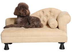 Divano per cani con 1 bracciolo - beige - cuccia per cani