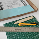 DIY/do it yourself Dinosaur - Triceratops