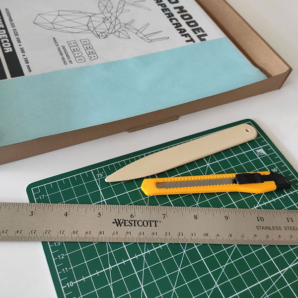 DIY/do it yourself dinosaur – T-Rex